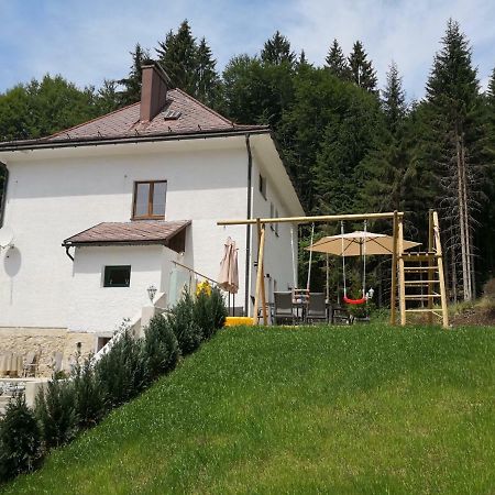 Vila Ferienhaus Lebensquelle Klaffer am Hochficht Exteriér fotografie