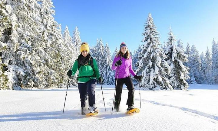 Vila Ferienhaus Lebensquelle Klaffer am Hochficht Exteriér fotografie