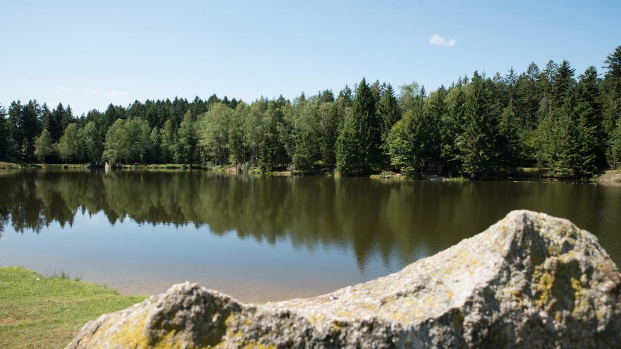 Vila Ferienhaus Lebensquelle Klaffer am Hochficht Exteriér fotografie