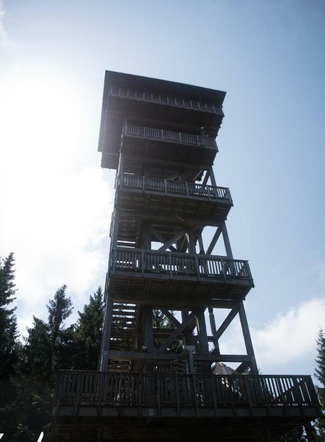 Vila Ferienhaus Lebensquelle Klaffer am Hochficht Exteriér fotografie